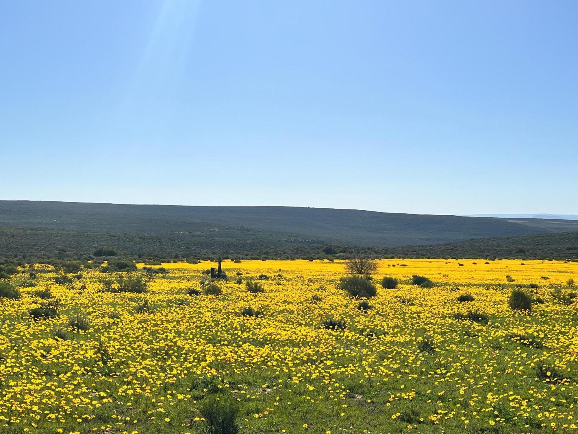 Simbavati Cederberg Ridge Villa Клануилям Екстериор снимка